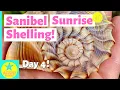 Sanibel Sunrise Shelling The best conditions with low tide and full moon