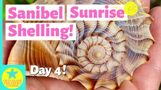 Sanibel Sunrise Shelling The best conditions with low tide and full moon