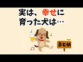 Download Lagu 9割が知らない犬の雑学⑳