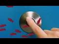 Catch More FreshPass