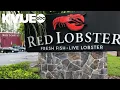 New menu items announced as Red Lobster exits bankruptcy