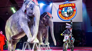 4K Circus Show 2025 Jordan World Circus Utah Full Circus Show