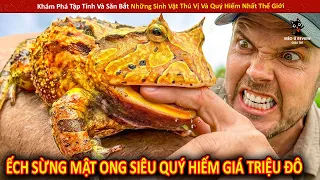 Khám Phá Tập Tính Và Săn Bắt Những Sinh Vật Thú Vị Và Quý Hiếm Nhất Thế Giới | Review Giải Trí