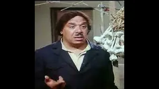 هناك شخص تافه يتصل بك   ميمز وحيد سيف   راديو موسيقي زين دندنها