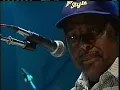 R.L. Burnside - Alice Mae (Reverb Live)