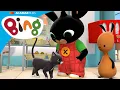 Lagu Bing menyukai Arlo si kucing! | Bing Bahasa Indonesia