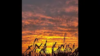 John Reeves Into The Void A The Silent Wandering 