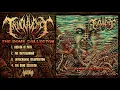 Download Lagu TRUCULENCY - The Dome Collector (Full EP Stream - 2021)