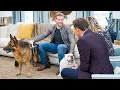 Trevor Donovan and His Dogs - Home Family