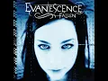 Download Lagu Evanescence - Fallen (FULL ALBUM)