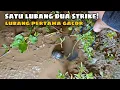 Lagu Lubang Pertama Langsung 2 Ekor! Tajuran Disambar Babon sawah Spot Angker Ep #13📍