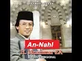 Download Lagu Bacaan Merdu Surah An Nahl MUAMMAR ZA | Surat An-Nahl Full