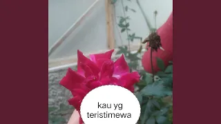 kau yg teristimewa