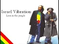 Israel Vibration   Lion in the jungle