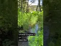 Download Lagu Unreal Engine 5 or real life? Is it nature or Nanite!?