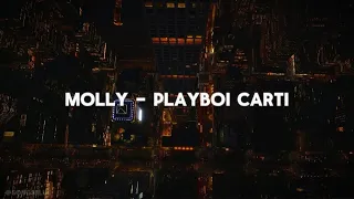 MOLLY PLAYBOI CARTI MIKEEYSMIND FORGOTTEN SUB ESPAÑOL LETRA 