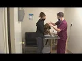 A Glendale vet makes it her mission to not to turn away animals in need