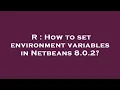 R How to set environment variables in Netbeans 8 0 2