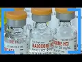 Local communities target pharmacy chains in opioid fight Rush Hour