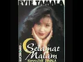 Sebuah Janji
