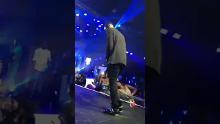kizz daniel electrifying performance at the unforgettable concert