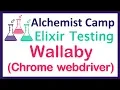 Integration testing Elixir with Wallaby Part 2