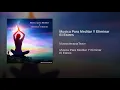 Musica Para Meditar Y Eliminar El Estres