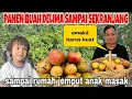Download Lagu PANEN DELIMA SAMPAI SEKRANJANG BINGUNG BAWANYA BERAT ,SAMPAI RUMAH JADI EMAK2 PADA UMUMNYA!