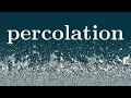 Percolation a Mathematical Phase Transition