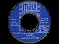 Ronny And The Daytonas - Sandy (BSN Stereo Mix)