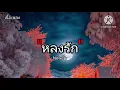 เนื้อเพลง หลงรัก Newery