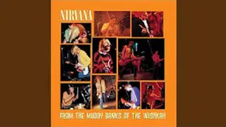 Download Nirvana - Smells Like Teen Spirit - From The Muddy Banks Of The Wishkah (1996) 😀🎵🎸. MP3