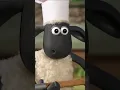 Download Lagu BAA GHERITA - PIZZA🐑🐑🐑 #shorts #shaunthesheep #animation #pizza