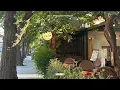 playlist. 나른한 오후, 보사노바 한 잔