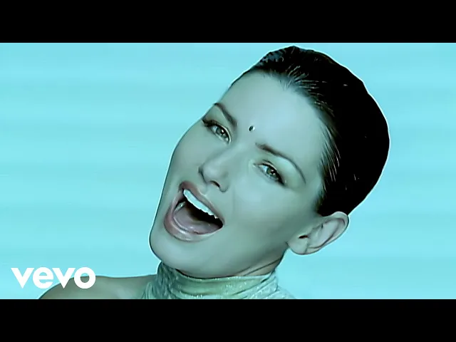 Download MP3 Shania Twain - From This Moment On