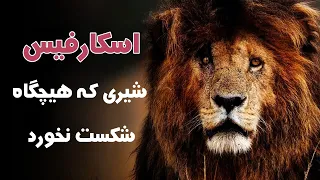 اسکارفیس شیری که پادشاه همه ی شیرها شد دندنها