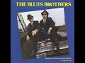 Shake a Tail Feather (feat. Ray Charles) - The Blues Brothers