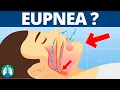 Eupnea Medical Definition Quick Explainer