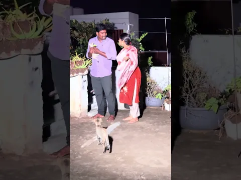Honey, is what the kids said true? #poojadevarakonda #familyentertainment #shorts