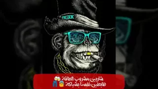 مقطع فاااجر من مهرجان ملقتش صاحب يتزامل حمو بيكا Anwar 