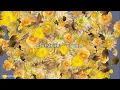 ghostride - crumb | chill with 30m looping music