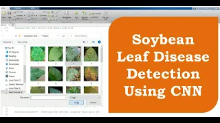 Soybean Leaf Disease Detection Using CNN Soybean Plant Disease Classification Using Matlab Code