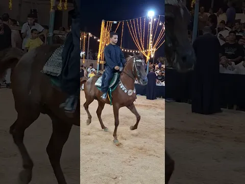 خيل رقص ادب