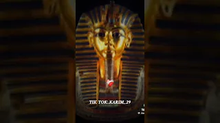 راداميس و امون شاب حكيم الجزائر 