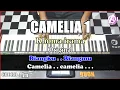 Download Lagu CAMELIA Karaoke Dangdut Korg Pa3x (Chord\u0026Lirik) nada cowok
