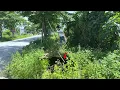 Download Lagu Shocking discovery underneath the grass on the sidewalk while we were cleaning up