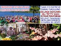 Download Lagu TANAMAN ANTIK-UNIK-ROMANTIK || BELANJA BARENG PENYANYI TETTY KADI || TUANG ECO ENZYME KE DANAU ||