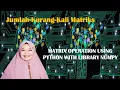 Coding Penjumlahan Pengurangan dan Perkalian Matriks Menggunakan Library Numpy