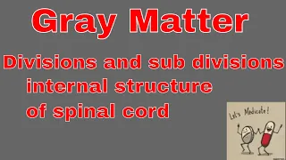 Download Gray matter |  divisions and sub divisions complete | internal structure of Spinal cord | 2020. MP3