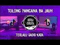 Download Lagu DJ TOLONG PANGANA BA JAUH x TERLALU SADIS KATA VERSI KOPLO VIRAL TIKTOK